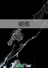 蝴蝶