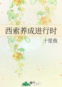 西索養成進行時