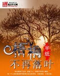 梧桐不再落葉