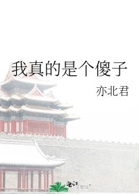 我真的是個傻子